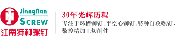 常州市武進江南特種螺釘有限公司